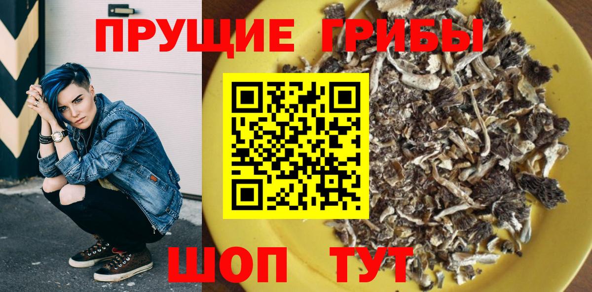 Галлюциногенные грибы Psilocybine cubensis Заволжье