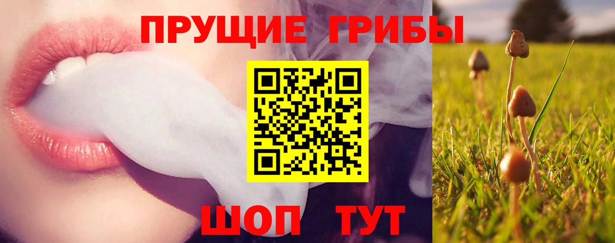 Галлюциногенные грибы прущие грибы  Псилоцибиновые грибы Cubensis  что такое   Заволжье  Вход с VPN 